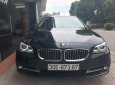 BMW 1 Cũ  5 520i 206 2016 - Xe Cũ BMW 5 520i 2016