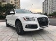 Audi Q5  2.0T 2015 - Bán ô tô Audi Q5 2.0T đời 2015, màu trắng