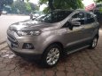 Ford EcoSport Titalium 2016 - Bán ô tô Ford EcoSport Titanium đời 2016, màu xám (ghi)