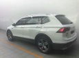 Volkswagen Tiguan Allspace 2018 - Bán xe Volkswagen Tiguan Allspace đời 2018, màu trắng, nhập khẩu, giá tốt