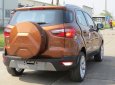 Ford EcoSport Titanium 2018 - Cần bán xe Ford EcoSport titanium 2018, màu cam, 648tr