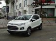 Ford EcoSport Titanium 1.5L AT 2017 - Cần bán lại xe Ford EcoSport Titanium 1.5L AT sản xuất năm 2017, màu trắng 