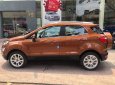 Ford EcoSport Titanium 2018 - Cần bán xe Ford EcoSport titanium 2018, màu cam, 648tr