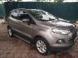 Ford EcoSport Titalium 2016 - Bán ô tô Ford EcoSport Titanium đời 2016, màu xám (ghi)