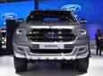 Ford Everest 2.2 MT 2018 - Bán Ford Everest 2.2 MT đời 2018, màu bạc, nhập khẩu