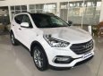 Hyundai Santa Fe 2017 - Cần bán xe Hyundai Santa Fe sản xuất 2017, màu trắng, giá tốt