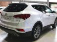 Hyundai Santa Fe 2018 - Bán ô tô Hyundai Santa Fe năm sản xuất 2018, màu trắng, giá tốt