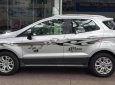 Ford EcoSport 1.5 Titanium 2017 - Cần bán gấp Ford EcoSport 1.5 Titanium 2017, màu bạc, giá tốt