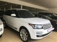 LandRover Cũ   Supercharged 5.0 2014 - Xe Cũ Land Rover Range Rover Supercharged 5.0 2014