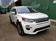 LandRover Discovery 2017 - Bán LandRover Discovery đời 2017, màu trắng, nhập khẩu nguyên chiếc