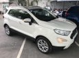 Ford EcoSport 2018 - Bán xe Ford Ecosport 1.5l Titanium 2018 vay trả góp 80%