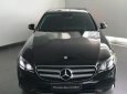 Mercedes-Benz E class E250 2016 - Mercedes-Benz Phú Mỹ Hưng bán Mercedes E250 SX 2016, màu đen