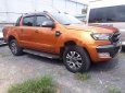 Ford Ranger  Wildtrak 3.2L AT  2017 - Cần bán Ford Ranger Wildtrak 3.2L AT đời 2017 như mới, giá chỉ 895 triệu