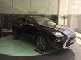 Lexus RX 2018 - Bán ô tô Lexus RX 300 năm sản xuất 2018, nhập khẩu chính hãng