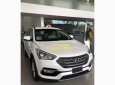 Hyundai Santa Fe 2017 - Bán xe Hyundai SantaFe có sẵn tại cửa hàng, hỗ trợ vay 90% đến 7 năm