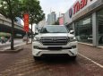 Toyota Land Cruiser VXR Trung đông 2018 - Bán Toyota Land Cruiser VXR Trung đông 2018, màu trắng