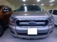 Ford Ranger 2016 - Cần bán lại xe Ford Ranger đời 2016, nhập khẩu nguyên chiếc chính chủ