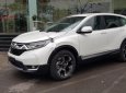 Honda CR V 1.5 G 2018 - Bán Honda CR V 1.5 G năm sản xuất 2018, nhập khẩu