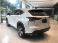 Lexus NX 2018 - Bán Lexus NX 300 đời 2018, màu trắng, nhập khẩu nguyên chiếc chính hãng