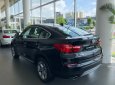 BMW X4  xDrive20i 2017 - Bán xe BMW X4 xDrive20i mới 100%, xe nhập khẩu chính hãng từ Đức, có xe giao ngay