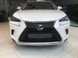 Lexus NX 2018 - Bán Lexus NX 300 đời 2018, màu trắng, nhập khẩu nguyên chiếc chính hãng