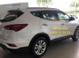 Hyundai Santa Fe 2017 - Bán xe Hyundai SantaFe có sẵn tại cửa hàng, hỗ trợ vay 90% đến 7 năm