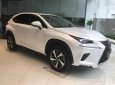 Lexus NX 2018 - Bán Lexus NX 300 đời 2018, màu trắng, nhập khẩu nguyên chiếc chính hãng