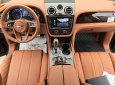 Bentley First Edition 2018 - Bán Bentley Bentayga Edition sản xuất năm 2018, màu đen, nhập khẩu