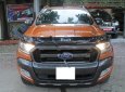 Ford Ranger Wildtrak 3.2L 4x4 AT 2017 - Bán xe Ford Ranger Wildtrak 3.2L 4x4 AT năm 2017, nhập khẩu nguyên chiếc 