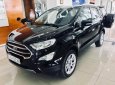 Ford EcoSport Titanium 2018 - Bán Ford EcoSport Titanium năm 2018, tiện dụng, an toàn, tiết kiệm