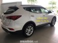 Hyundai Santa Fe 2018 - Bán Hyundai Santafe 2018 có sẵn, hỗ trợ vay đến 90%