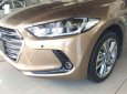 Hyundai Elantra   2018 - Cần bán Hyundai Elantra sản xuất năm 2018, màu nâu 