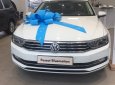 Volkswagen Passat Bluemotion 2018 - Bán xe mới Passat Bluemotion 2018 1.8, 132kw / 250nm, giá hot