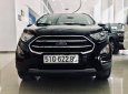 Ford EcoSport Titanium 2018 - Bán Ford EcoSport Titanium năm 2018, tiện dụng, an toàn, tiết kiệm