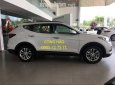 Hyundai Santa Fe 2018 - Bán Hyundai Santafe 2018 có sẵn, hỗ trợ vay đến 90%