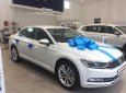 Volkswagen Passat Bluemotion 2018 - Bán xe mới Passat Bluemotion 2018 1.8, 132kw / 250nm, giá hot