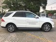 Mercedes-Benz GLE-Class GLE400  2018 - Bán Mercedes GLE400 4 Matic Exclusive 2018 cũ chính hãng, trả trước 1 tỷ 100 nhận xe