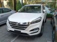 Hyundai Tucson   2018 - Bán xe Hyundai Tucson 2018 đặc biệt, màu bạc, có sẵn