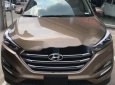 Hyundai Tucson   2018 - Cần bán Hyundai Tucson đời 2018, màu nâu giá cạnh tranh