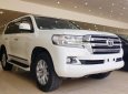 Toyota Land Cruiser V8 VX 4.6L 2016 - Bán Toyota Land Cruiser VX 2016, màu trắng, nội thất kem, đăng ký tên công ty