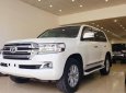 Toyota Land Cruiser V8 VX 4.6L 2016 - Bán Toyota Land Cruiser VX 2016, màu trắng, nội thất kem, đăng ký tên công ty