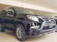 Lexus GX 460 Luxury 2018 - Cần bán xe Lexus GX460 Luxury sản xuất năm 2018, nhập khẩu mới 100%