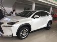 Lexus NX Cũ 2016 - Xe Cũ Lexus NX 2016