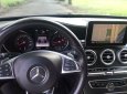 Mercedes-Benz C class C250 2016 - Bán ô tô Mercedes C250 đời 2017, màu xanh lam