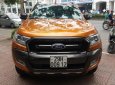 Ford Ranger 3.2L Wildtrak 4x4 AT 2016 - Bán ô tô Ford Ranger 3.2L Wildtrak 4x4 AT đời 2016, nhập khẩu, giá 810tr