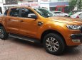 Ford Ranger 3.2L Wildtrak 4x4 AT 2016 - Bán ô tô Ford Ranger 3.2L Wildtrak 4x4 AT đời 2016, nhập khẩu, giá 810tr