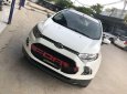 Ford EcoSport   2015 - Bán Ford EcoSport model 2015 rất mới giá tốt