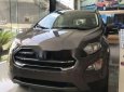 Ford EcoSport  1.5L AT Titanium  2018 - Bán xe Ford Ecosport 2018 giá tốt, quà tặng hot 