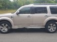 Ford Everest 2010 - Bán xe Ford Everest đời 2010, màu bạc chính chủ, giá tốt