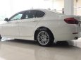 BMW 5 Series 2014 - Bán BMW 5 Series 520i 2014, màu trắng, nhập khẩu